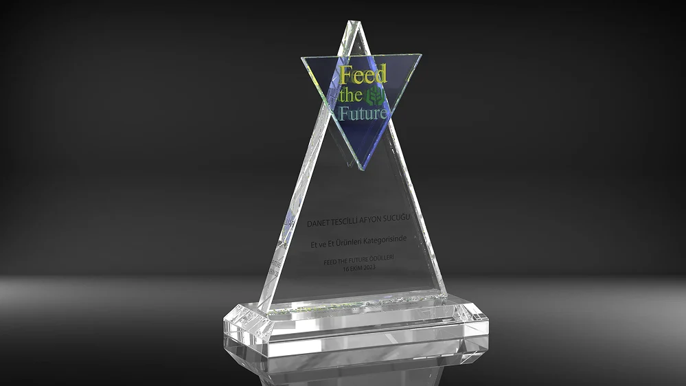 Investment in the Future